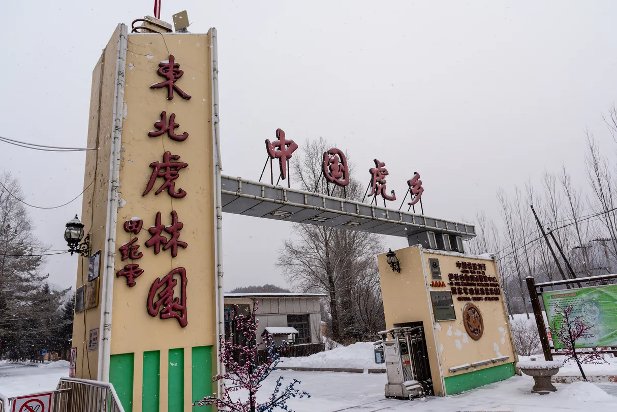 5_橫道河子東北虎林園