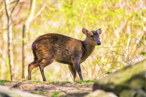 Zoo Hannover