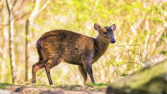 Zoo Hannover