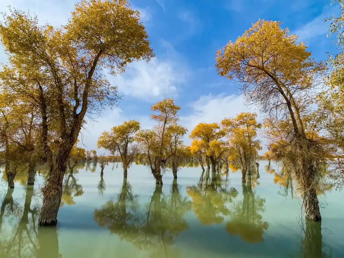 Hotel in zona Tarim River Wetland Tourism Scenic Area - Original Populus Euphratica Forest Ecological and Cultural Scenic Area
