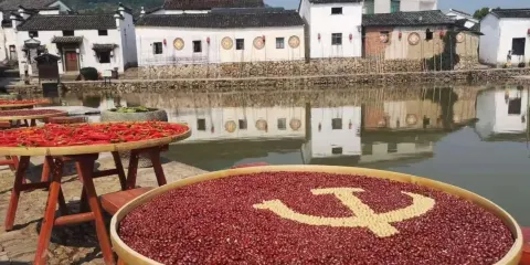 新葉古村