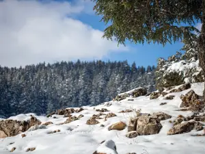 Ifrane