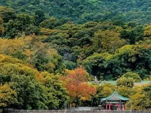 Luofu Mountain Scenic Area
