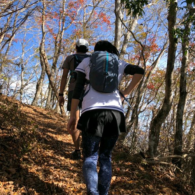 【山梨県富士河口湖町】パノラマ台