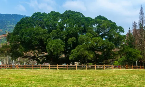 Fuzhou National Forest Park