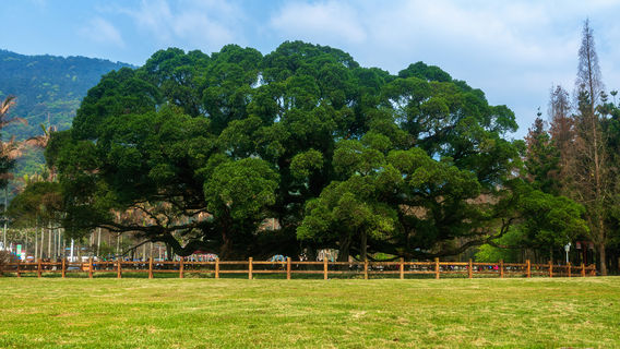 Fuzhou Botanical Garden