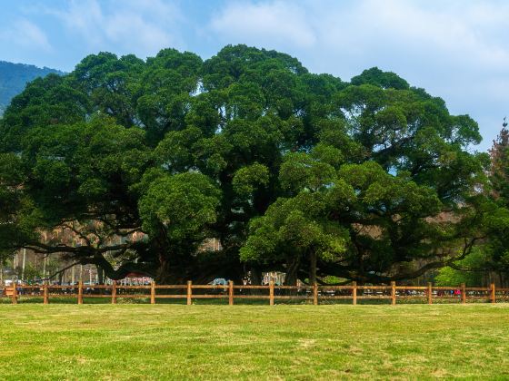 Fuzhou National Forest Park