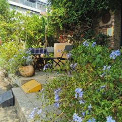 五月花cafe(岩前宝环大道店) User Photo
