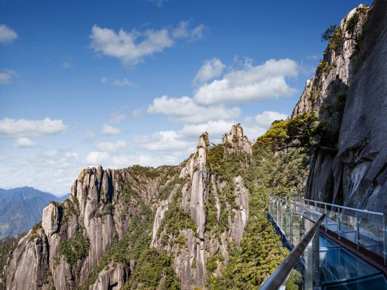 Suspended Glass Plank Road