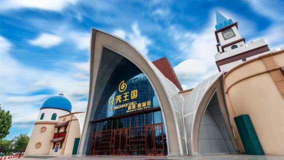 The Kingdom of Shell