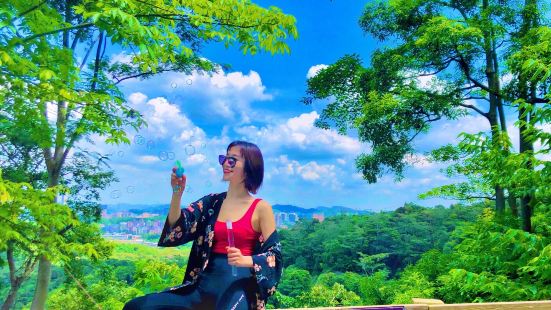 ⛰️羊台叠翠英雄山｜深圳八景之一&ldquo;心上人啊！满山