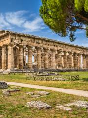 Musée Archéologique National de Paestum