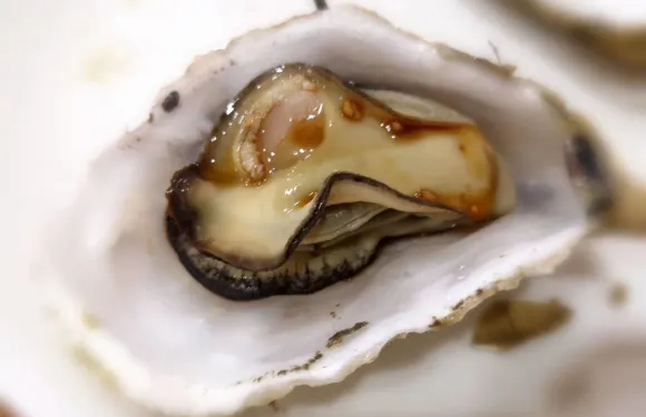 Kasilasa Floating Rertaurant