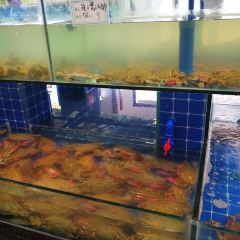 渔家码头 User Photo