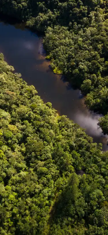 Khách Sạn suối nước nóng Tại Suriname