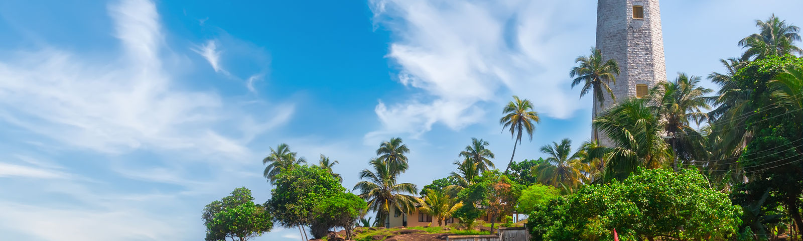 니곰보데이 투어