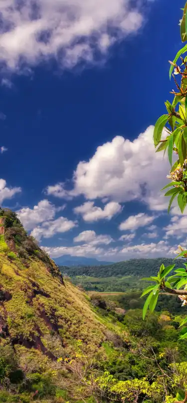 Hotels With Wifi in Central Province, Sri Lanka