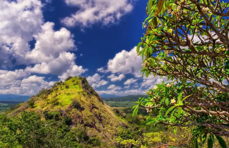 Hotels With Wi-Fi in Central Province, Sri Lanka