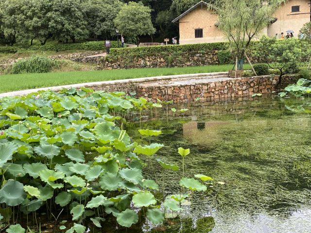 사오산 시