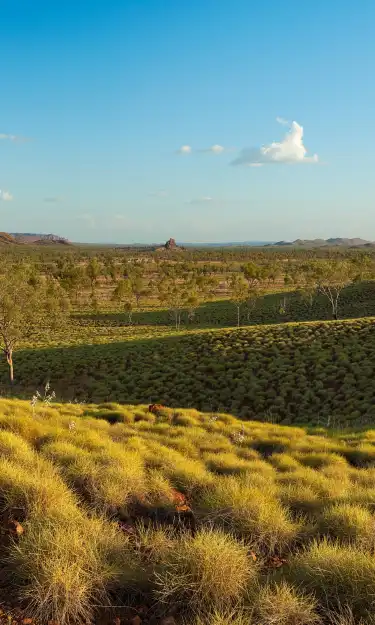 Hotels With Pools in Western Australia, Australia