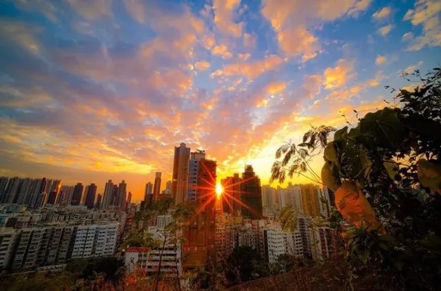 【深水埗好去處】市區輕鬆一日遊 🌇 深水埗美食、景點、影相好去處