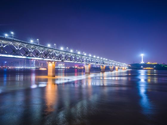 Er’qi Yangtze River Bridge