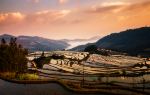 Duoyishu Terraced Field