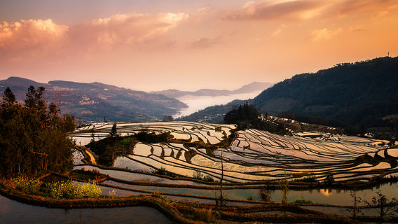 Duoyishu Terraced Field