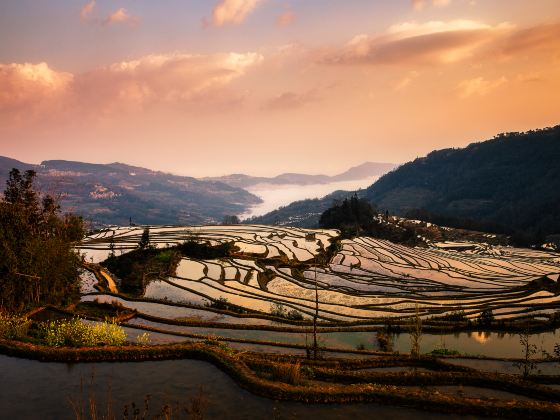 Duoyishu Terraced Field