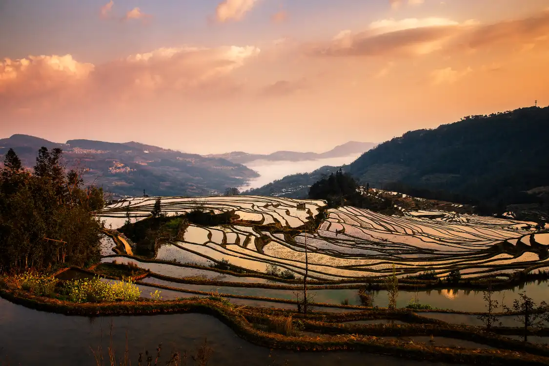 Hotels near Duoyishu Terraced Field