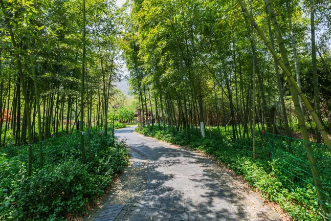 Отзывы об отеле YAOCHANG HOTEL