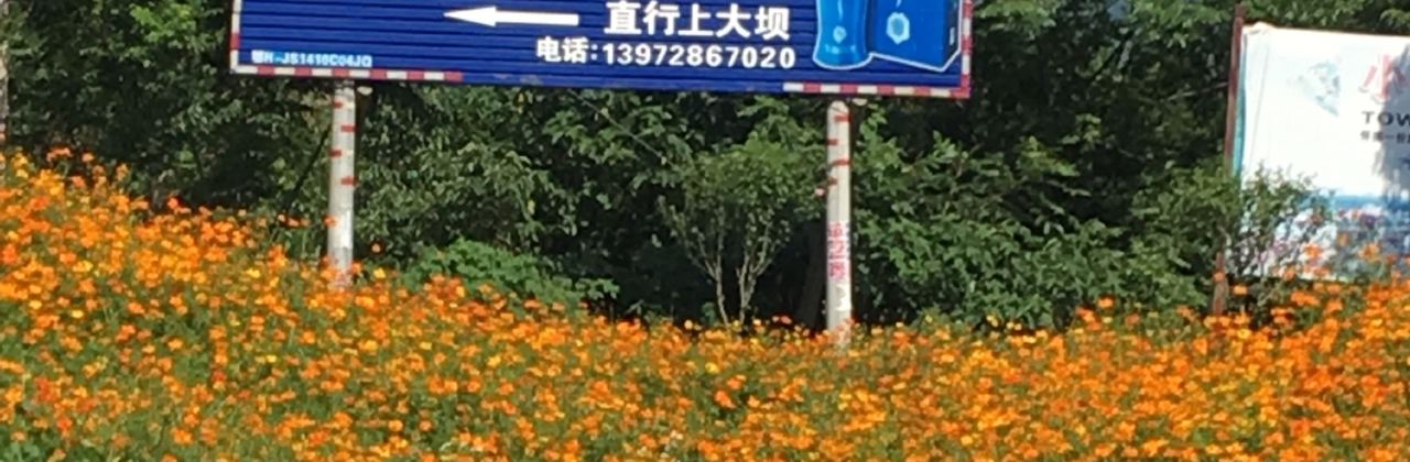 龙义山庄(石龙水库店)