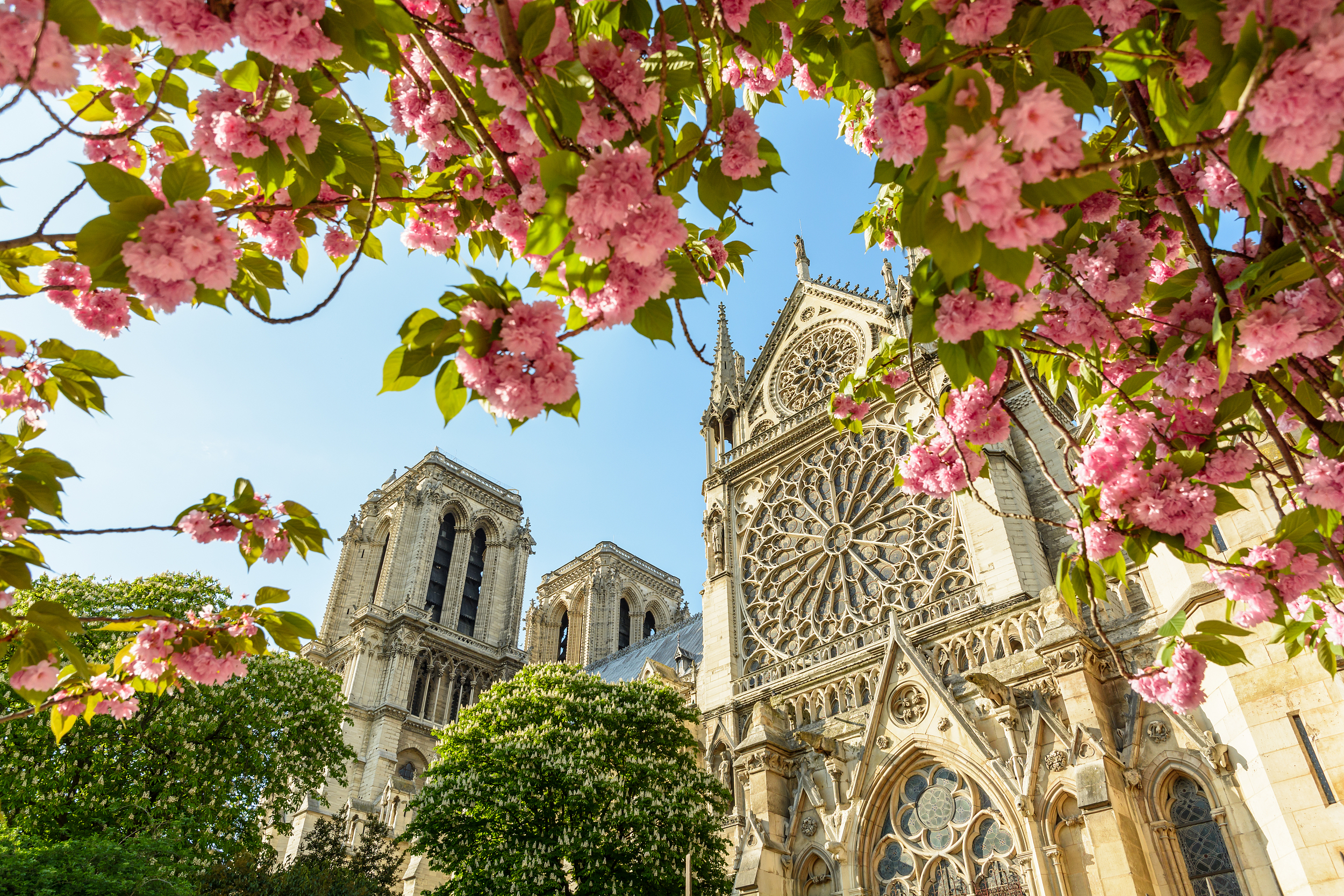 Notre-Dame Cathedral of Paris