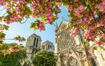 Cathédrale Notre-Dame de Paris