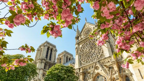 Cathédrale Notre-Dame de Paris