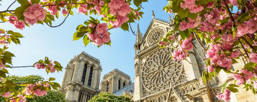 Cathédrale Notre-Dame de Paris