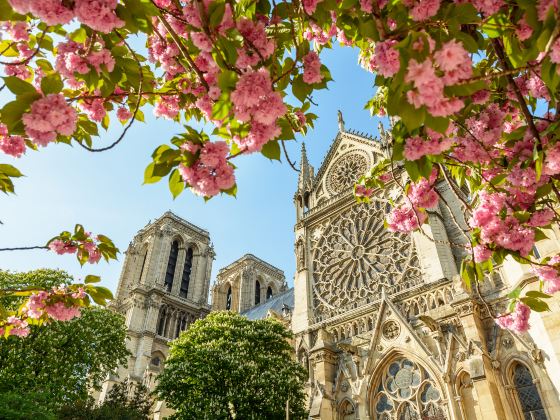 Cathédrale Notre-Dame de Paris