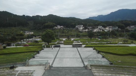 龙泉青瓷博物馆，旁边的金莎温泉度假酒店前面，有个花海广场，虽