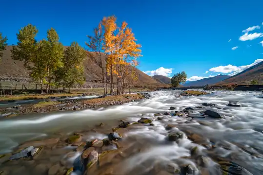 新都橋鎮周辺のホテル