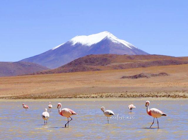 Laguna Hedionda