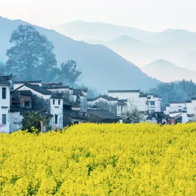 鄰近婺源風景區的酒店