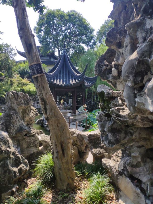Lion Forest Garden