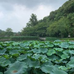 钰湘宴·剁椒鱼头王(岳麓望月公园店) User Photo