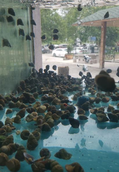 YONG JIA SHU YUAN JU YUAN NONG GU LE