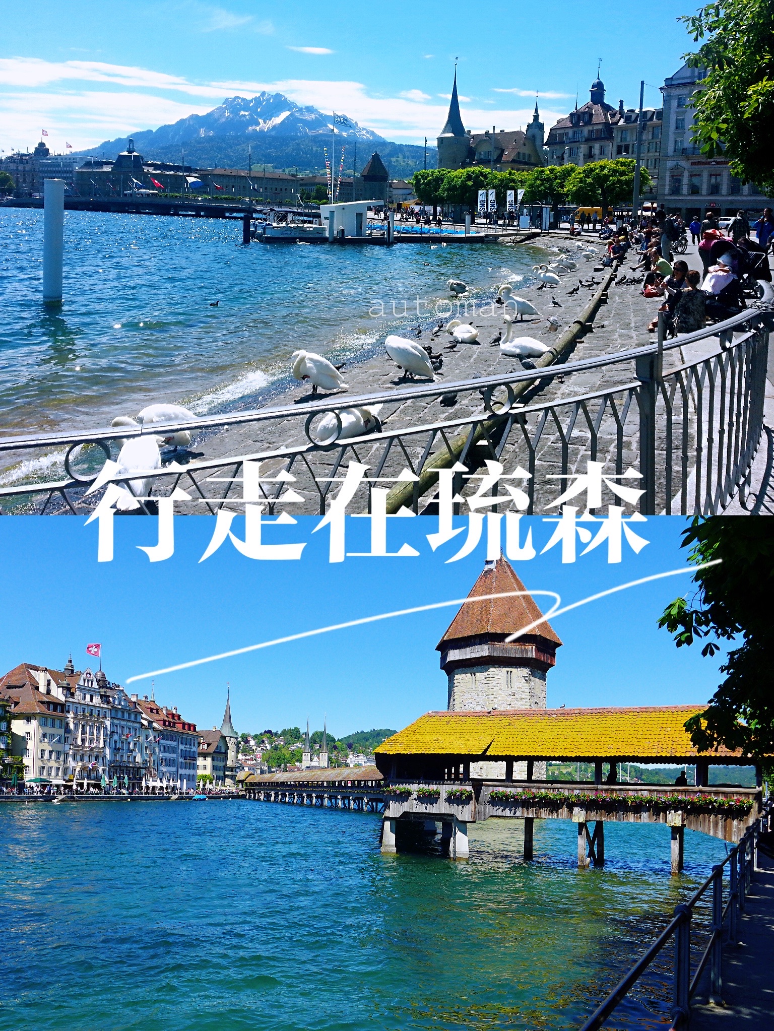 ルツェルン カペル橋 評判 案内 トリップドットコム