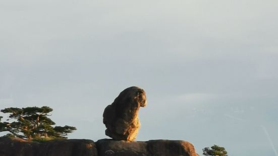 猴子观海猴子观海，当地居民习惯称为猴子望太平，是黄山风景区北