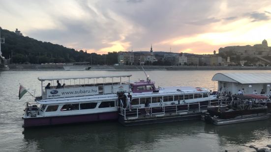 多瑙河的游船有多个公司，基本上都位于布达佩斯的佩斯一侧，这些