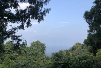 东吴酒家(荫山街店) user photo