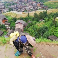 野望味道梯田全景餐厅 User Photo