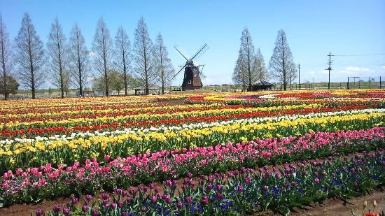 Akebonoyama Agriculture Park